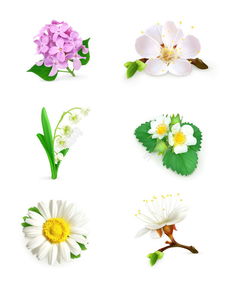 精美花卉设计矢量素材模板免费下载，800像素编号17669516，千图网专业资源