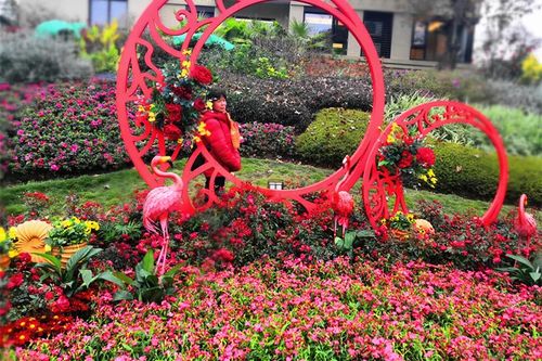 新春艺术花卉展丨在漫天花影中，打开知觉，拥抱自然