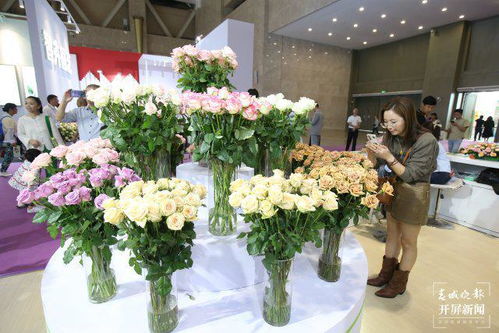 开屏逛花展 探秘第21届昆明国际花卉展的前沿品种与科技